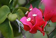 IMG_1205.JPG