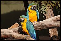 IMG_12141.jpg