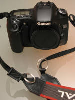 IMG_1231.jpg
