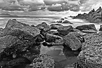 IMG_1235_procesada.jpg