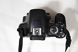 IMG_1252_1.jpg
