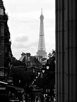 IMG_12671.jpg