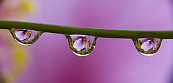 IMG_1269_web.jpg