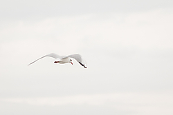 IMG_13263.jpg