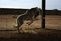 IMG_1374_-_copia.JPG