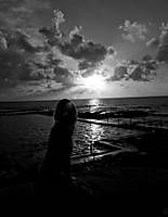 IMG_13991.jpg