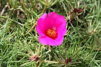 IMG_1446.JPG