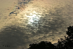 IMG_1489_800x600_1.JPG