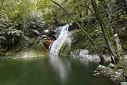 IMG_1527.jpg
