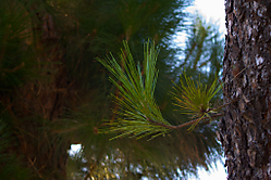 IMG_15762.jpg