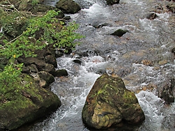 IMG_15804.JPG