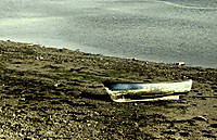 IMG_15872 IMG_15872.JPG