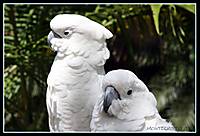 IMG_1675.jpg