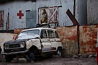 IMG_1688bajaresol.jpg