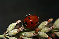 IMG_1739b.jpg