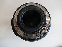 IMG_1813p.jpg