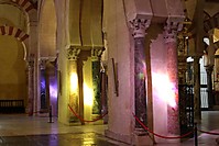 IMG_18773.JPG