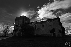 IMG_1890d.jpg