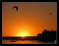 IMG_1903b.jpg