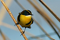 IMG_1967_b.jpg