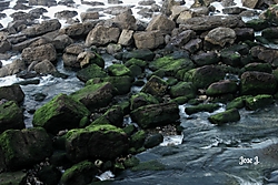 IMG_1971.jpg