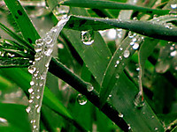 IMG_2000_.jpg
