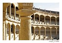 IMG_2035b.jpg