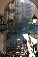 IMG_2045_800x600_.JPG