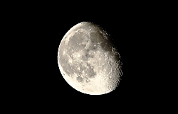 IMG_20855.JPG