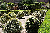 IMG_2279.JPG