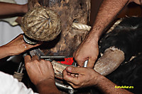IMG_2372-www.jpg
