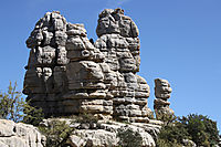 IMG_2499_.jpg