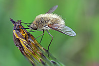 IMG_25011.jpg