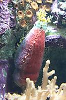 IMG_2750.jpg