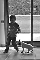 IMG_27502.jpg