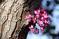 IMG_3054250410.jpg