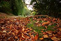 IMG_3126_165_.jpg