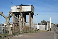 IMG_3168_Large_.JPG