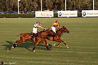 IMG_31842.jpg