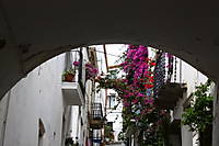 IMG_32111.JPG