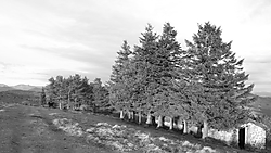 IMG_32593.JPG