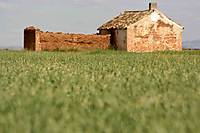 IMG_3323.JPG