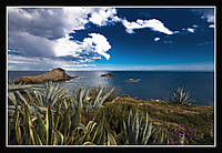 IMG_3410.jpg