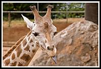 IMG_3502-Edit_Medium_.JPG