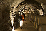 IMG_3555.jpg