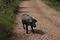 IMG_3577_800x600_1.JPG