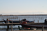 IMG_3591_1.JPG