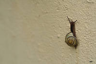 IMG_3631_1_copia.jpg