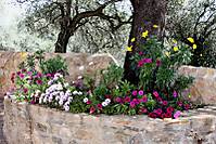 IMG_3654_800x600_.JPG