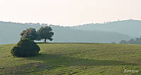 IMG_3802_Foro.jpg